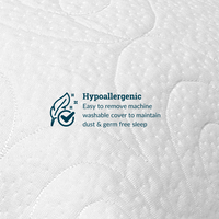 Thumbnail for Peak Sleep Set | 2 Pillows & Pillowcases