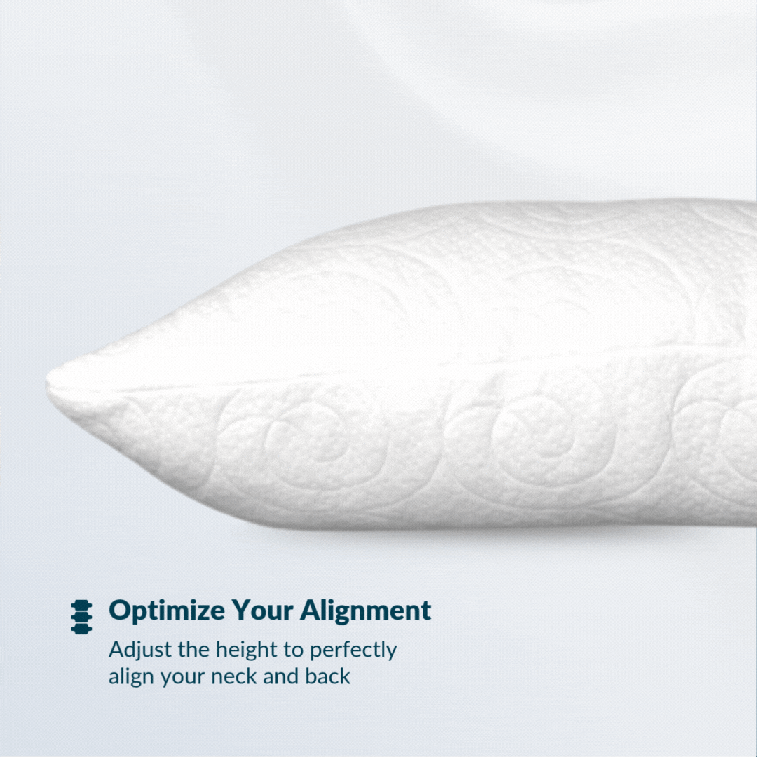 The Chinchilla | Ultra Soft Microfiber Filled Pillow