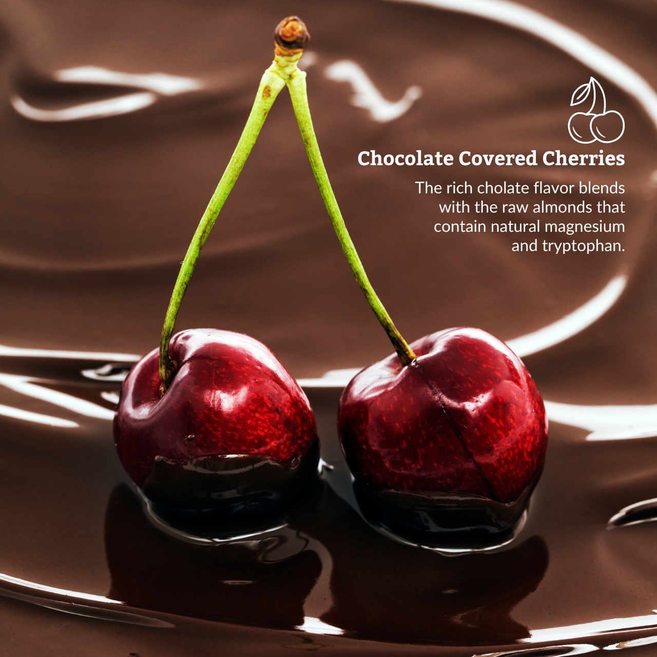 Chocolate & Cherry Night Bites | Functional Nightly Sleep Supplement Chocolate Bars