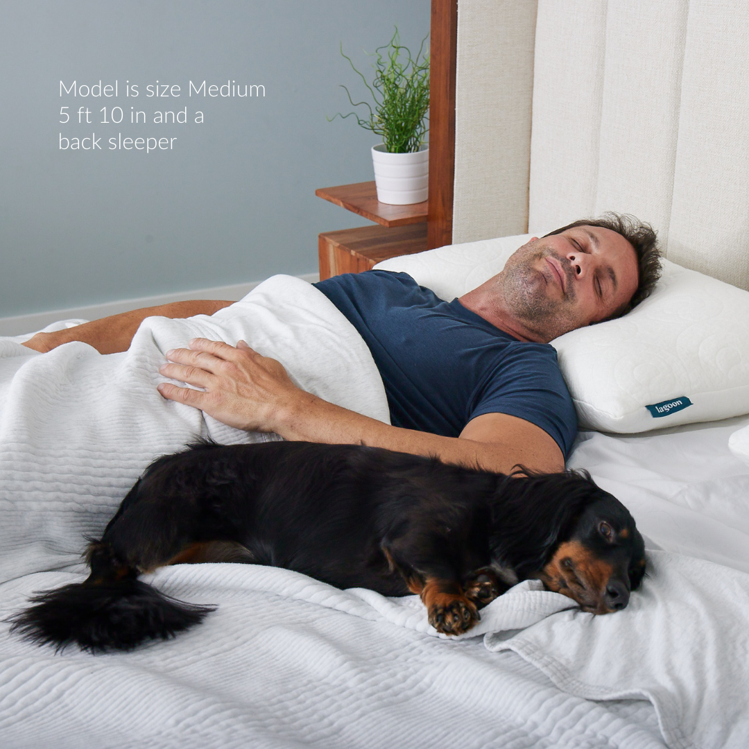 male model size medium back sleeper lemur recycled and bamboo fiber filler eco-friendly pillow