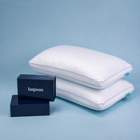 Thumbnail for Peak Sleep Set | 2 Pillows & Pillowcases