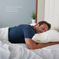 Thumbnail for male model size medium stomach sleeper puffin medium soft microfiber filled pillow