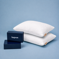 Thumbnail for Peak Sleep Set | 2 Pillows & Pillowcases